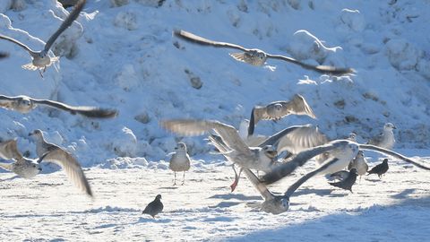 В среду местами ожидается небольшой снег