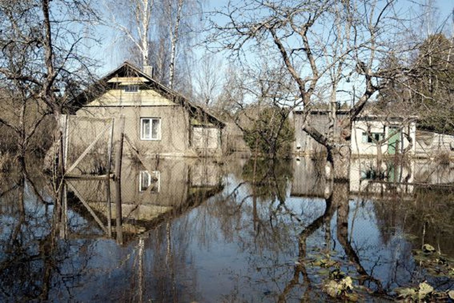 Üleujutus Tapal näitab, et tulvavesi ei puuduta mitte ainult maapiirkondi.