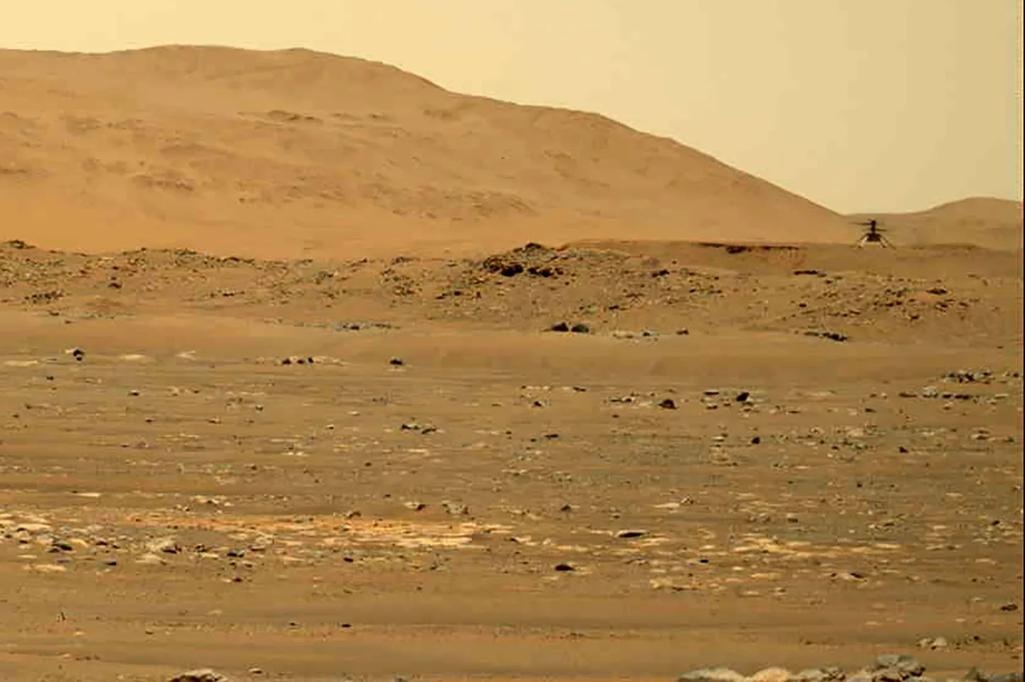 NASA marsikopter Ingenuity