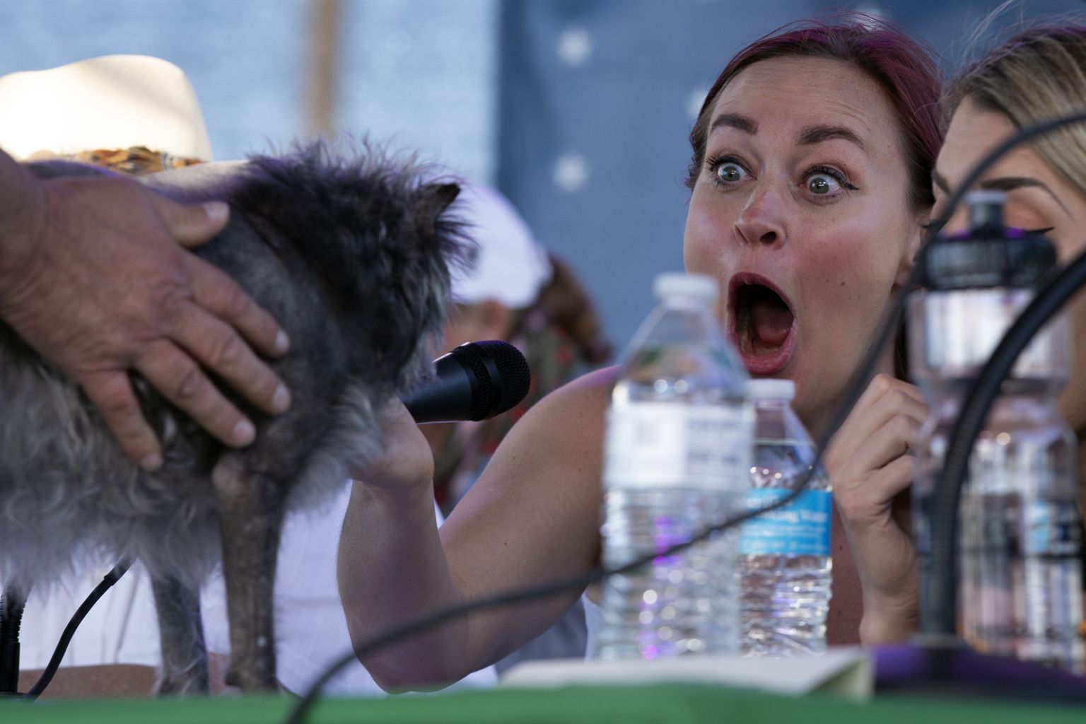 Судья Мамри Харт реагирует на Монки, собаку из Плезант Хилл, Калифорния, на конкурсе "Самая уродливая собака в мире", в пятницу, 24 июня 2022 года, в Петалуме, Калифорния.