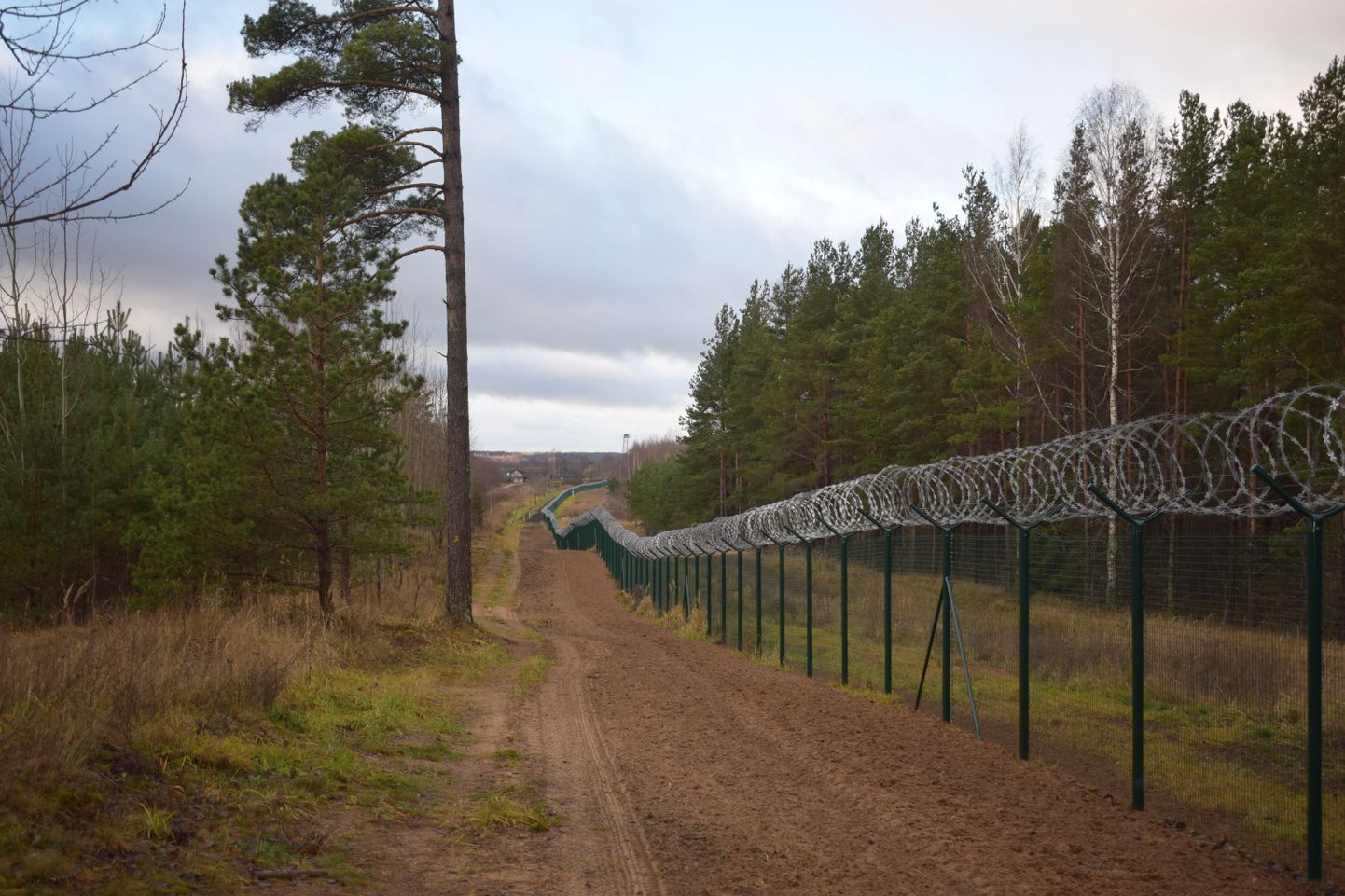 Läti on hoidnud oma poole riigipiirist puhtana, lisaks rajanud liivase kontrollriba illegaalsete ületuste tuvastamiseks. Vene pool on aga lastud võssa kasvada.