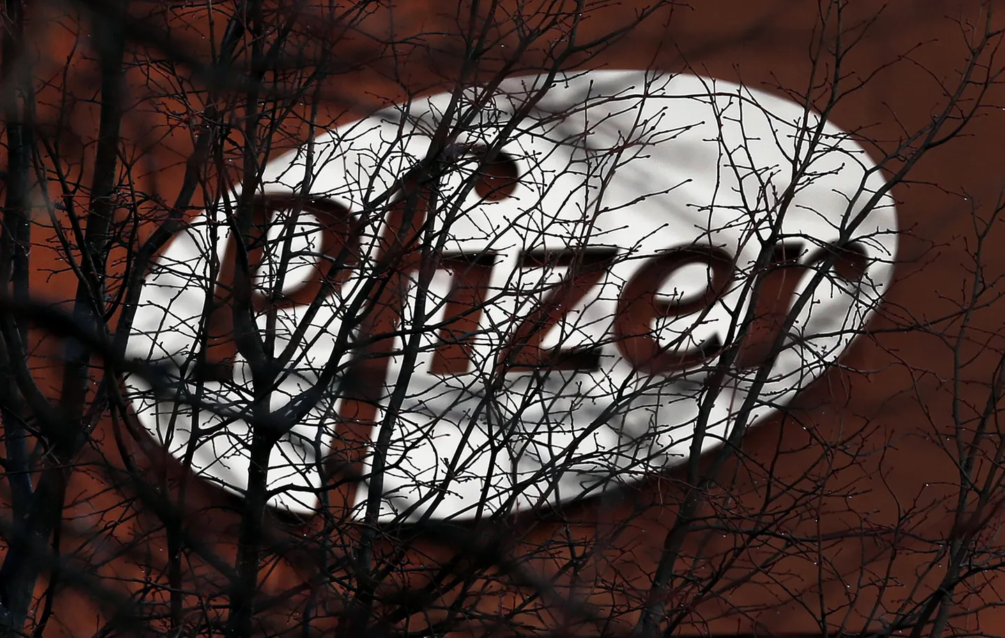 Pfizeri logo paistmas läbi novembrikuiselt raagus okste Dublinis aastal 2015.