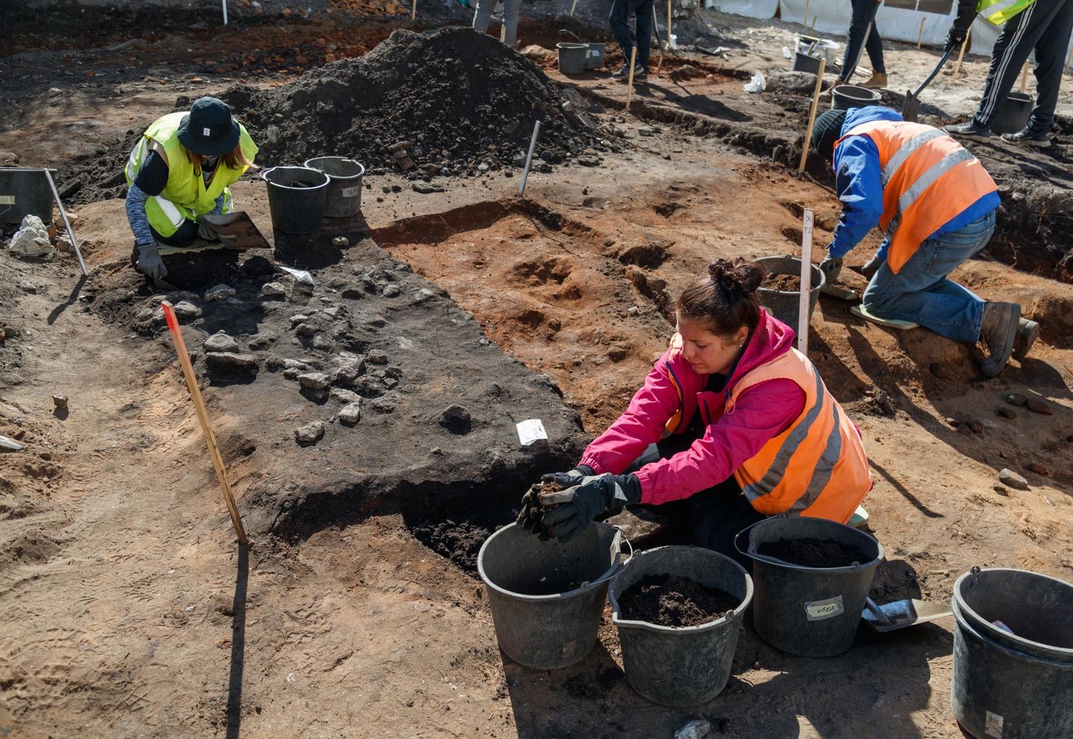 Arkeologer hittade fyra vikingatida härdar i centrala Tallinn.
