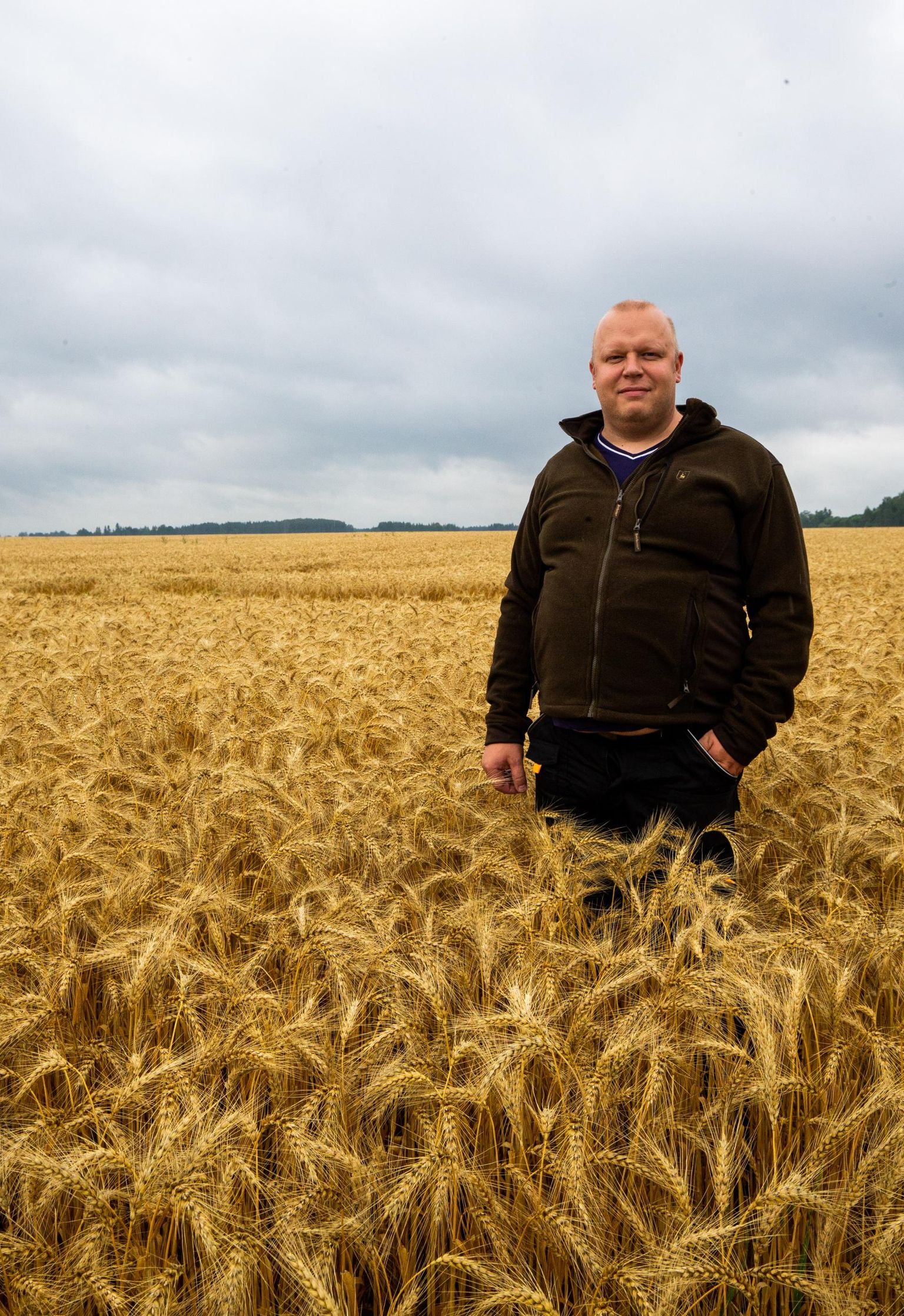 Põllumees Juhan Ojamaal kasvab Tartu külje all Kastre vallas teravili enam kui tuhandel hektaril. Nagu vihm lõpeb, sõidab ta kombainiga põllule.