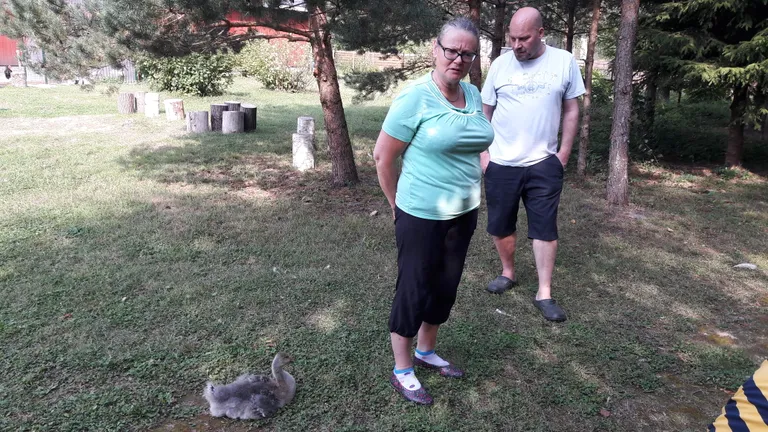 Tiiu Tuppuri koos elukaaslasega oma Ristil asuva suvekodu õuel. Pererahvaga koos jäi pildile linnupargi pesamuna - hanepoeg Kiivi, kes sai oma nime tänu beebiea rohekale kasukatoonile.