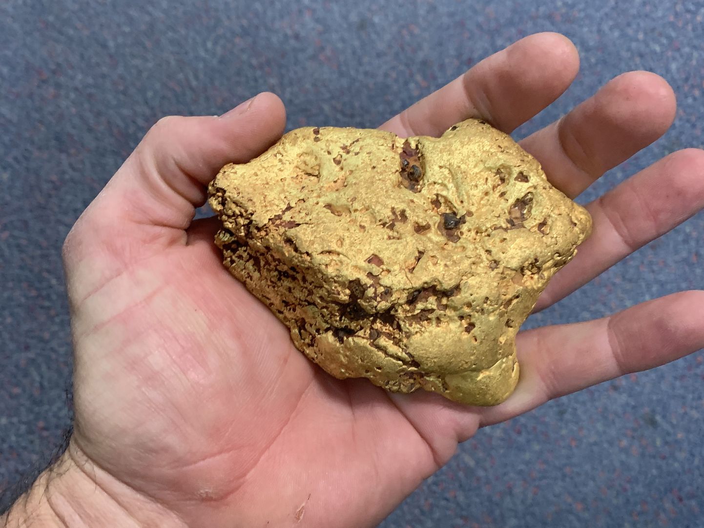Austraallase leitud 1,5-kilogrammine kullakamakas