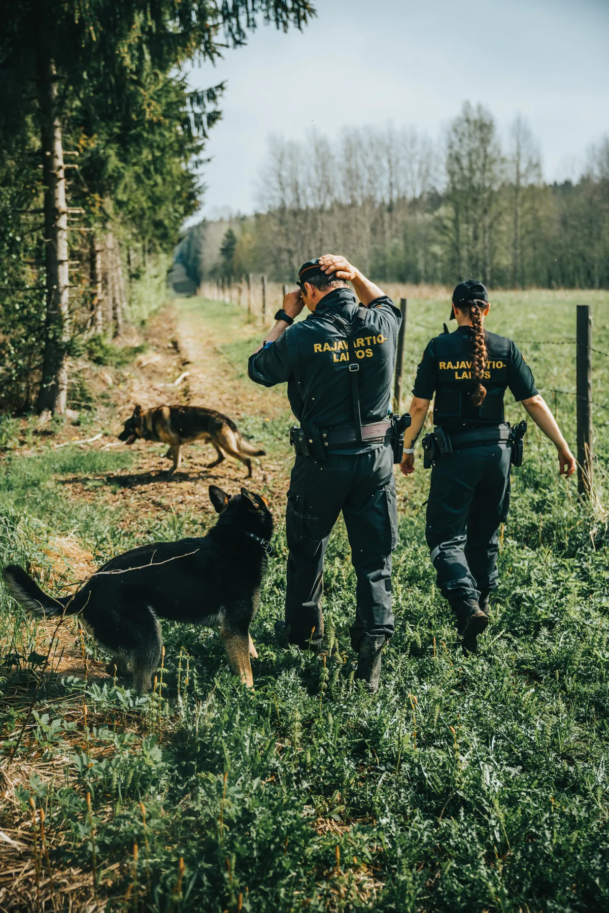 In Southeast Finland, the field of work for service dogs may change after the completion of the border fence.