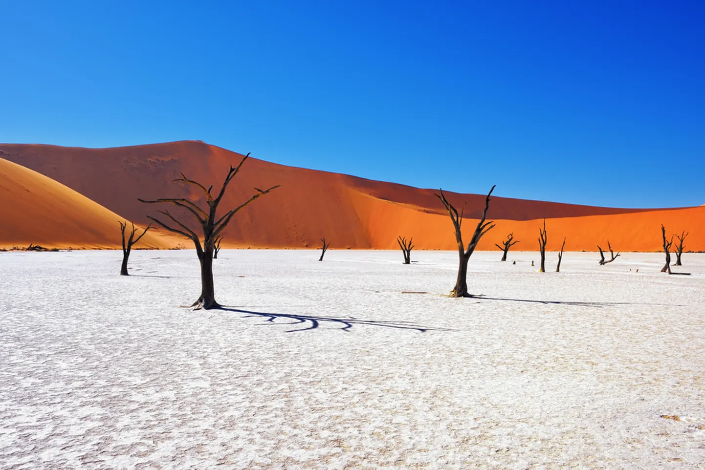 Deadvlei – valge saviplatoo Namiibias