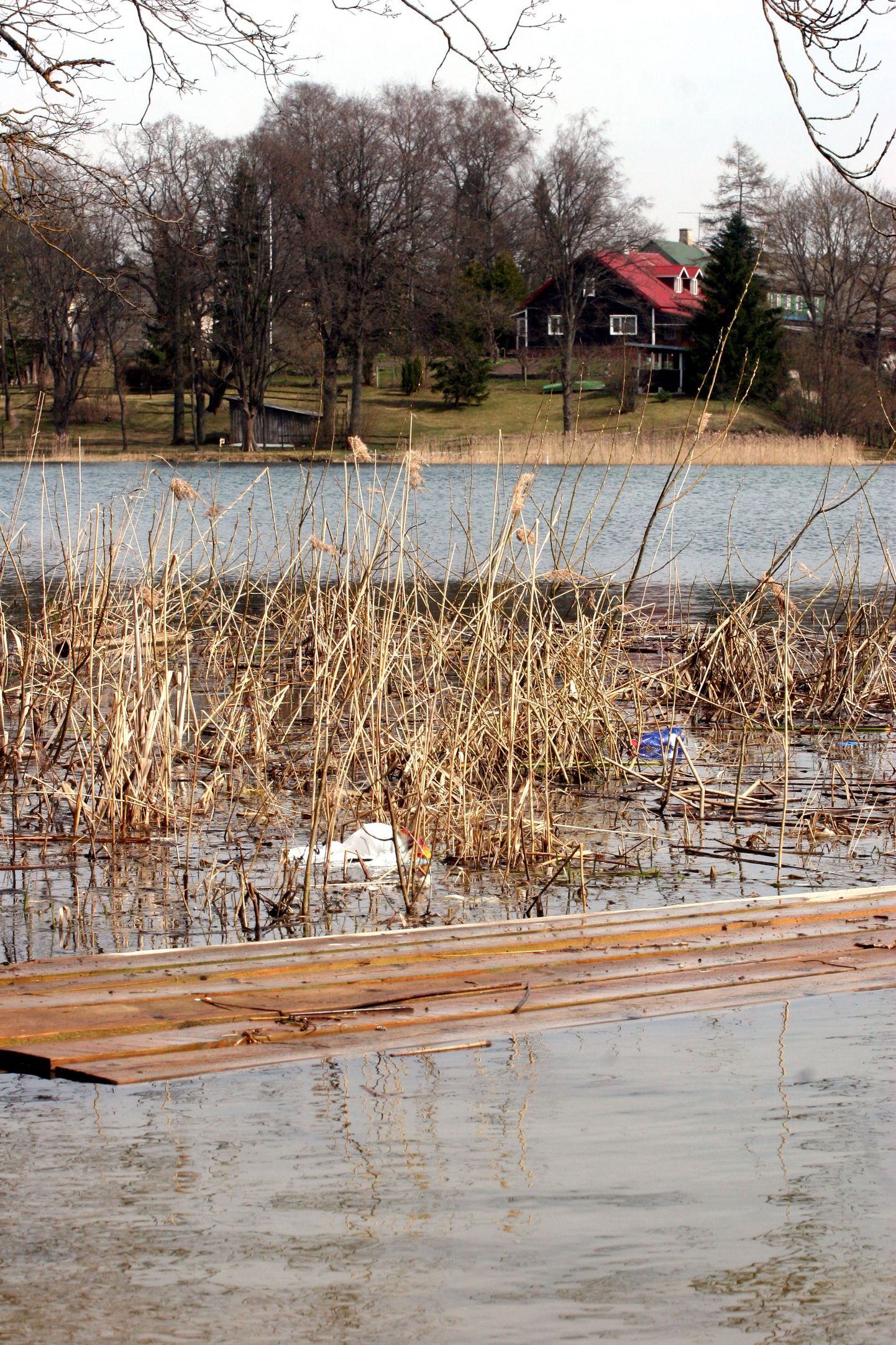 Porkuni järve on juba mitmel kevadel talgude korras sodist puhastatud.