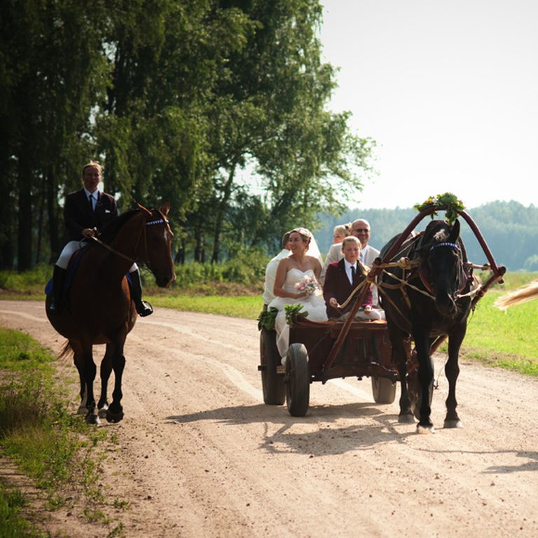 Saposušies kāzu tērpos, Līga un Vents Armands tika izvizināti zirga pajūgā 
