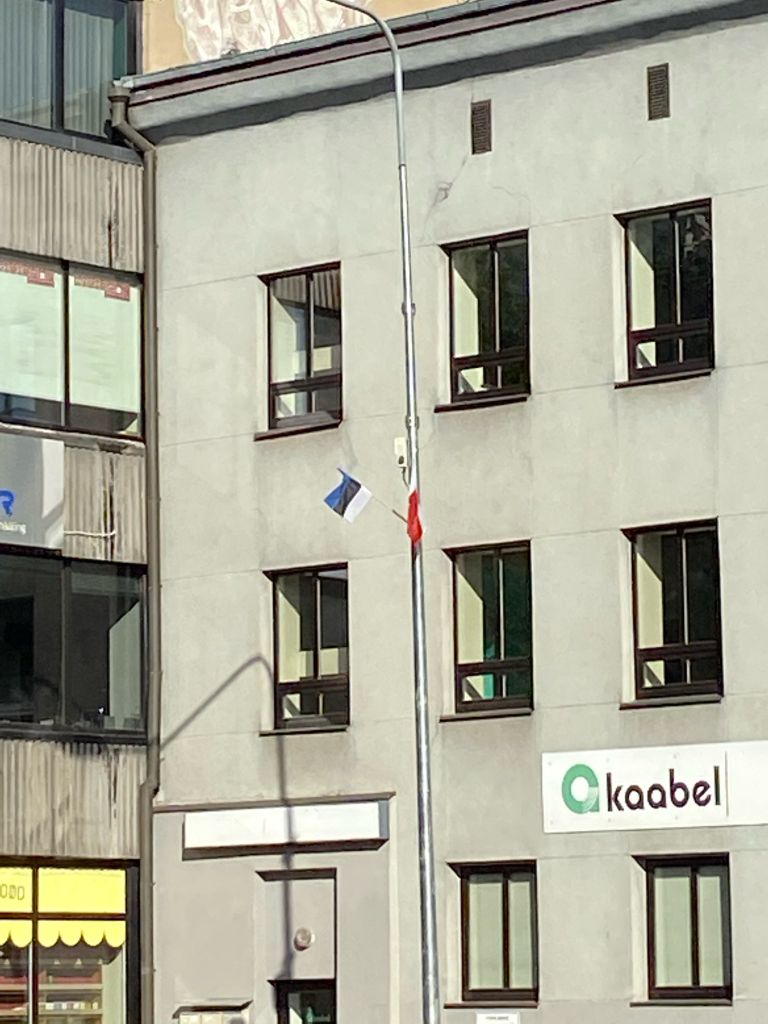 Аналогичный флаг на фонарном столбе в Тарту. 