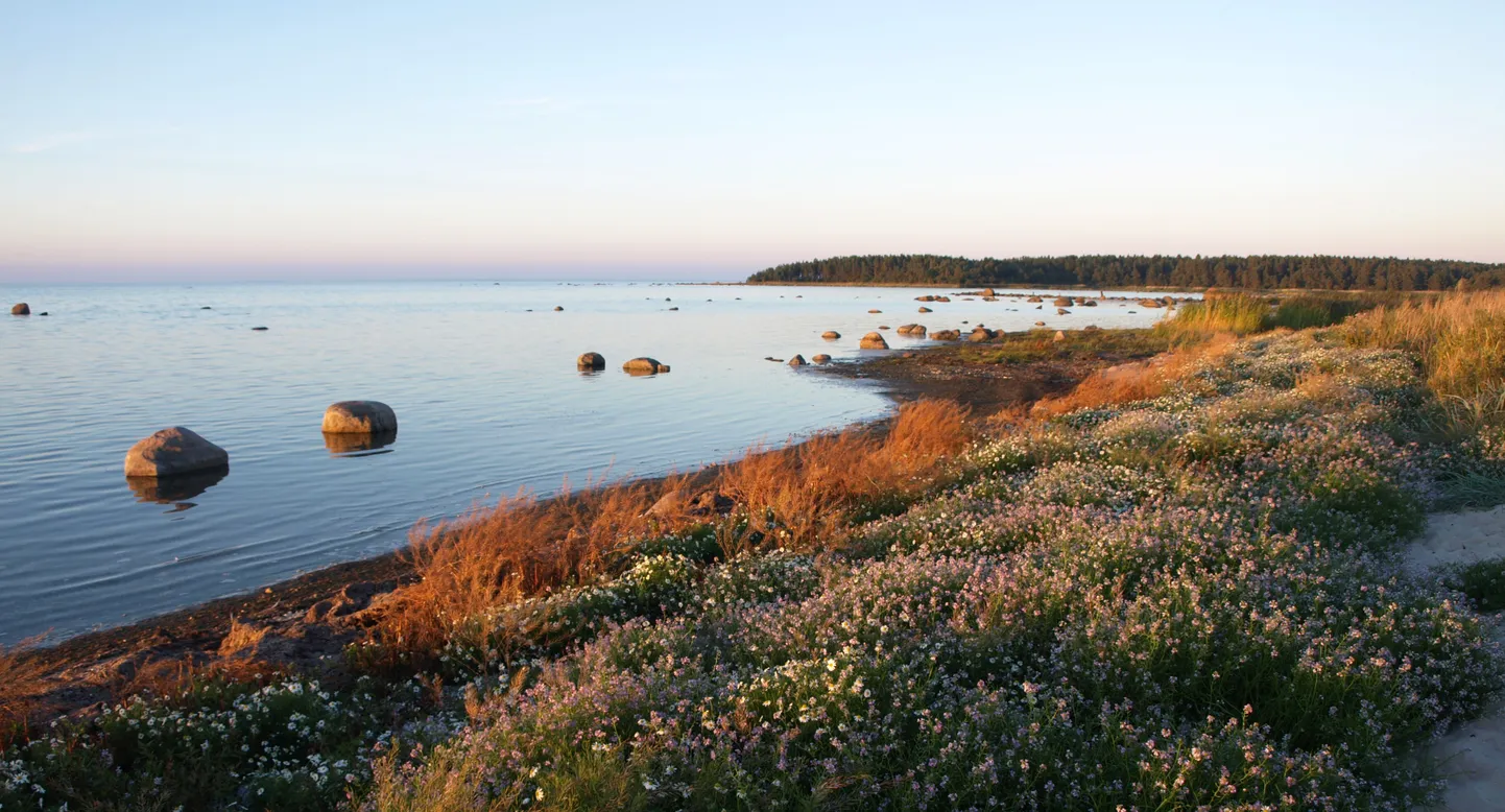 Vormsi põhjarannik