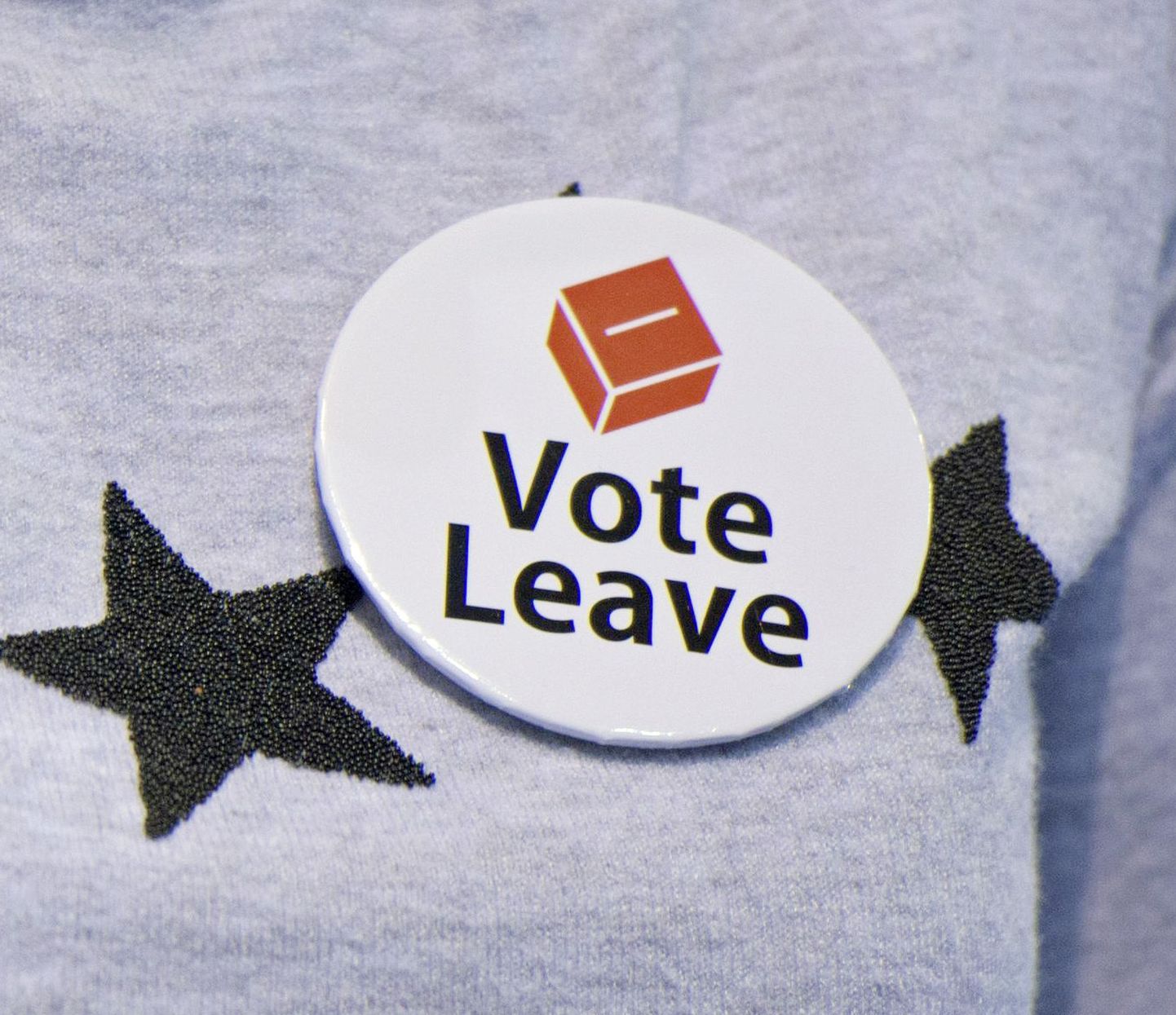 Kampaaniaorganisatsiooni Vote Leave rinnamärk.