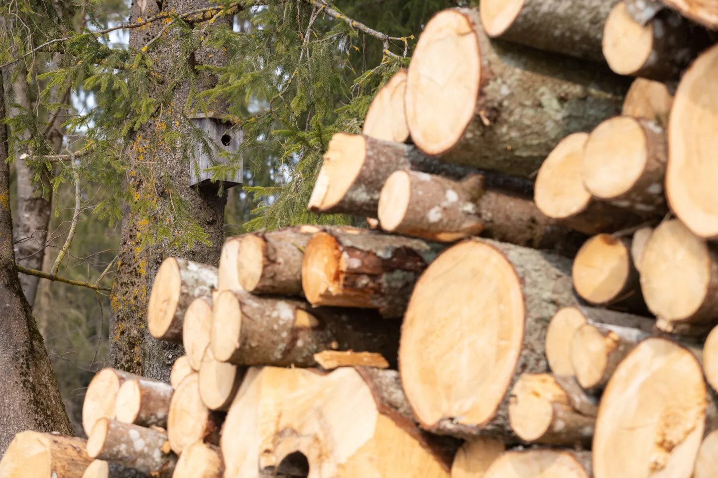 Soome metsatööstuskontsern Metsä Group müüb oma Eesti puiduvarumisäri Combiwood Grupile.