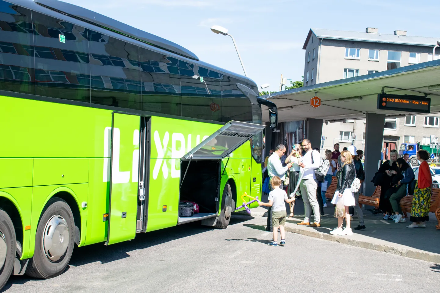 Flixbussi rohelised bussid.