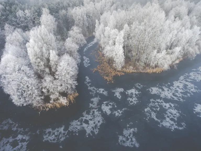Зима. Фото иллюстративное. Фото: