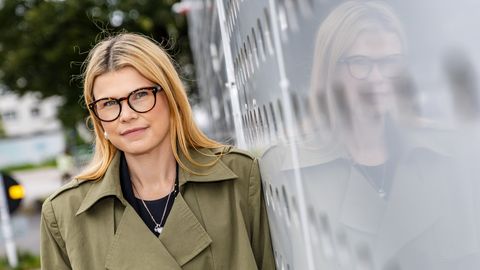 Kui tekib kriis, saab linnuliha Eestis otsa pooleteise kuuga