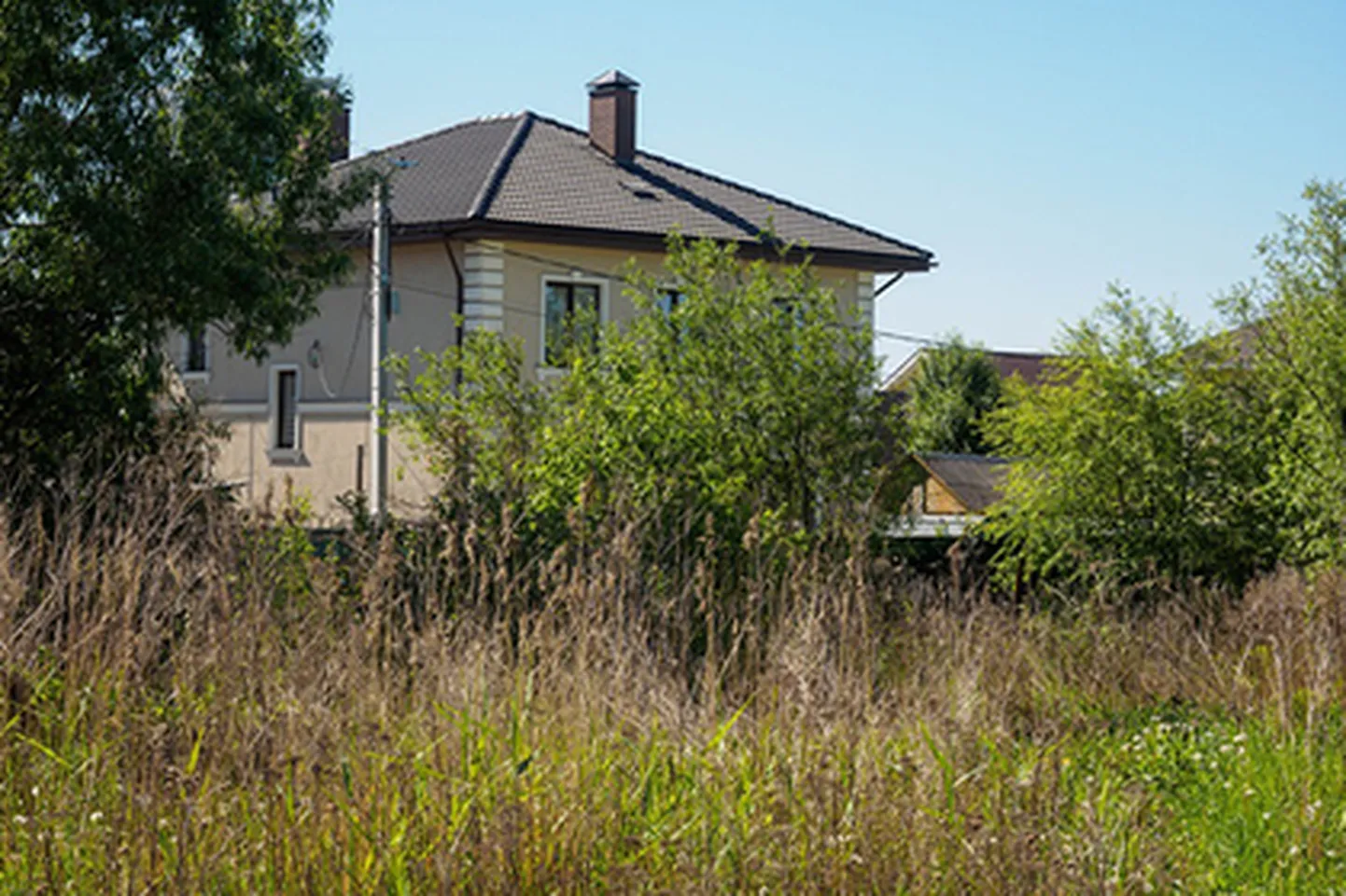 Фото статьи
