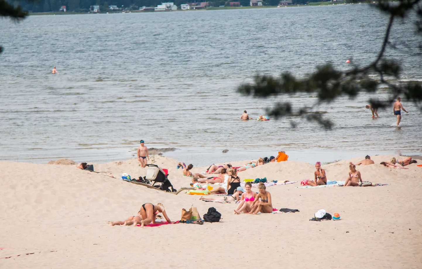 24.juuli 2017, Lääne-Virumaa, Eesti, Võsu
ilm, suvi, rand, päevitamine, puhkus

Fotol: Võsu rand

Foto: Meelis Meilbaum / Virumaa Teataja