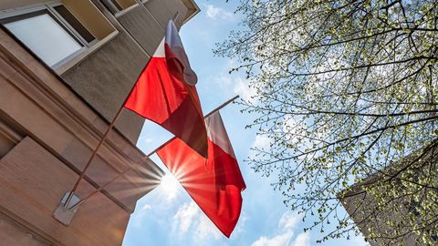 Польша отказалась выдавать Германии подозреваемого в подрыве "Северного потока"