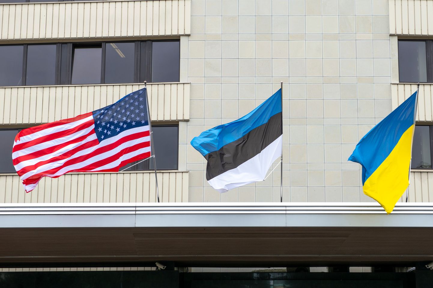 Флаги США, Эстонии и Украины.