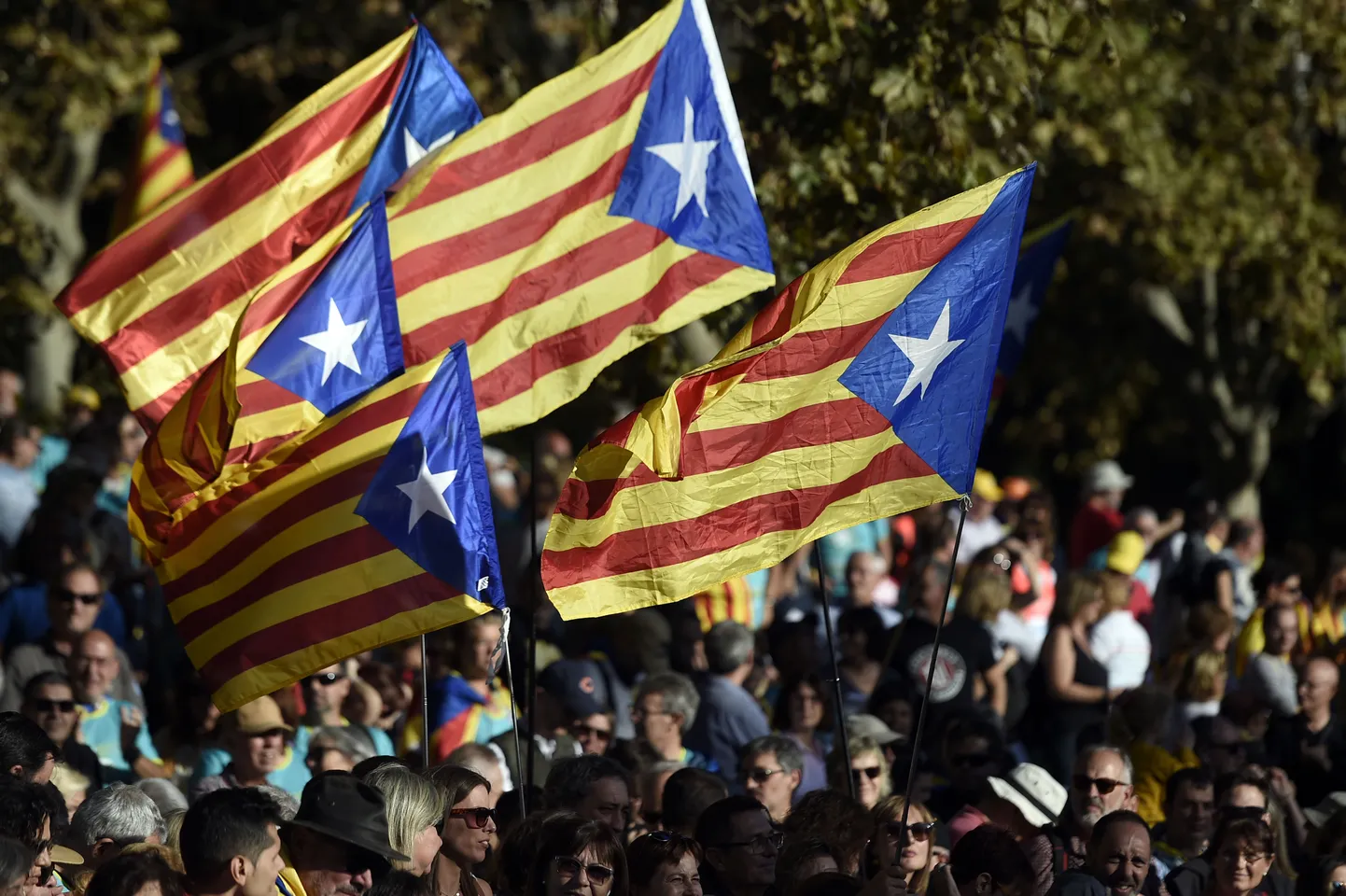 Флаги Каталонии. Иллюстративное фото.