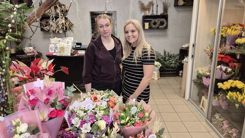 Lillepoodidel sündisid aasta rekordid