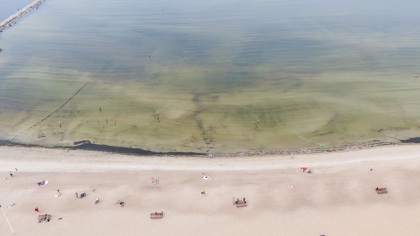 Sinivetikad on imepisikesed, kuid nad moodustavad silmaga nähtavaid kolooniaid. Foto on tehtud Tallinnas Pirita rannas.