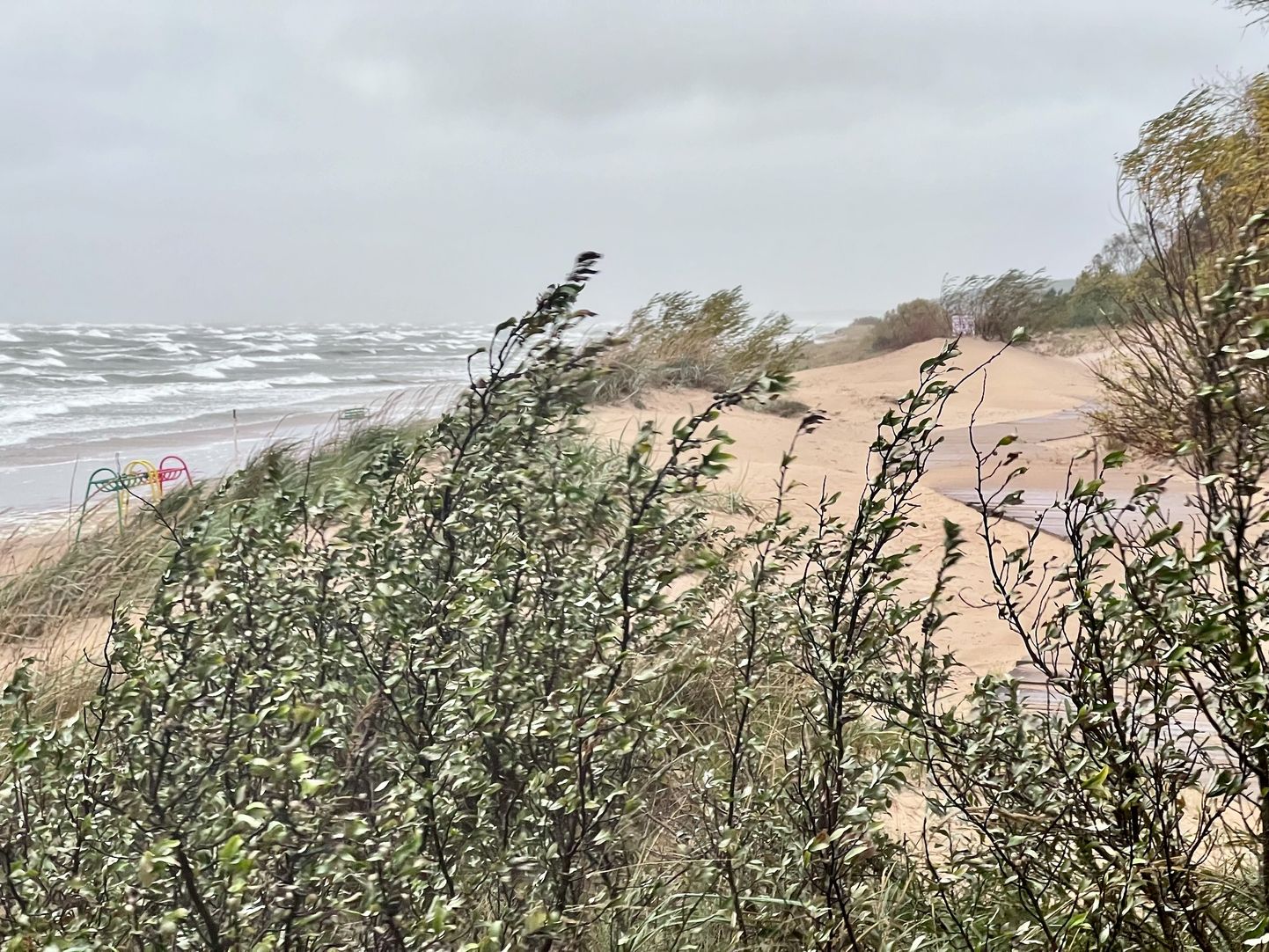 Штормовой ветер и волны на пляже в Нарва-Йыэсуу.