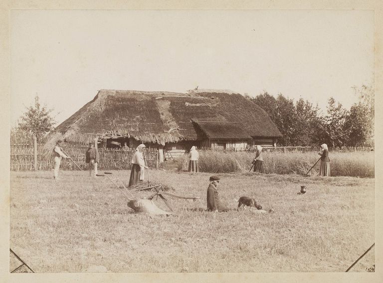 Talutööd Randivälja külas Kolmetarga talus. 1887.