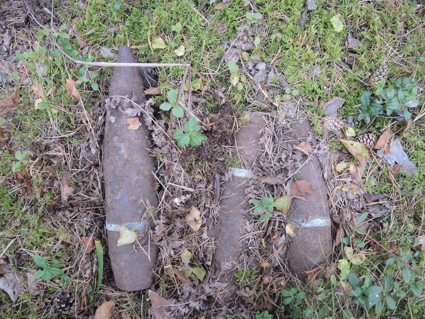 Seenelised leidsid Saaremaal Salme vallas Järve küla metsas kolm Vene päritolu suurtükimürsku.