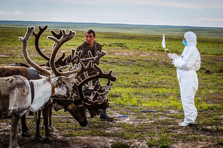 Päästetöötaja 2016. aasta Siberi katku leviku koldes. Foto: Venemaa Eriolukordade Ministeerium/AFP/Scanpix