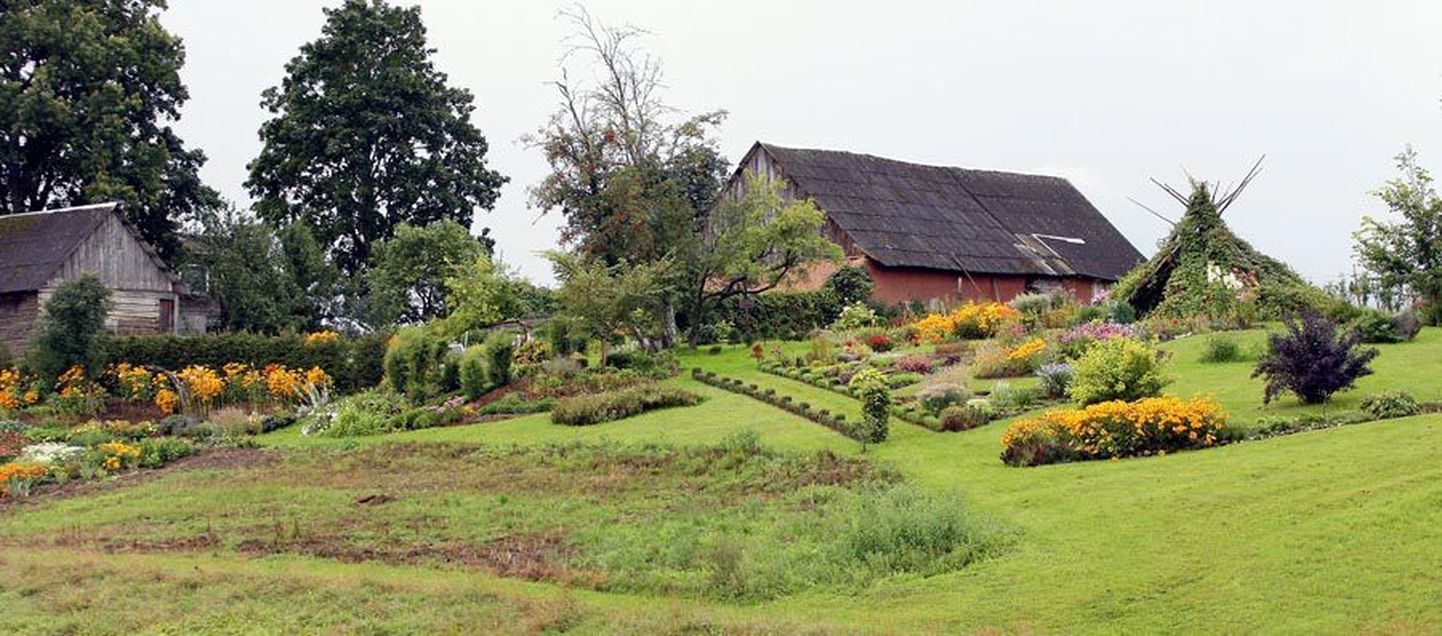 Viljandimaal on hulk kauneid aedu, mis on juba kohaliku tunnustuse saanud. Fotol on üks Tarvastu valla aed.