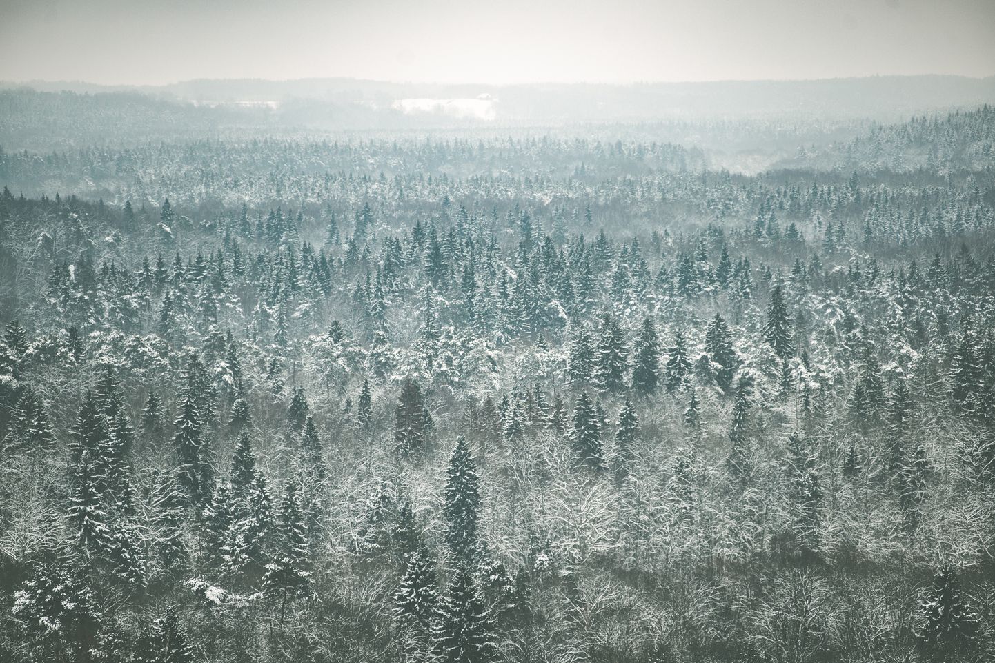 Foto: Siguldai piestāv arī ziema