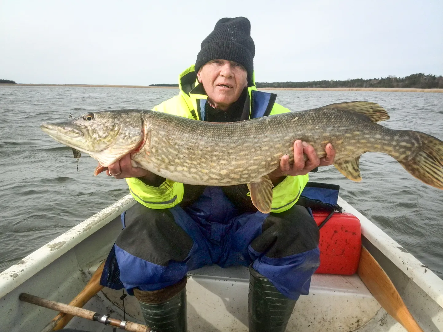 AIVAR SÕRME jaoks on järelkäruga saarele haugile tulnud mandrimeeste meelehärm 
mõistetav, ent perele söögiks piisab viiest 2–3-kilosest haugist küll ja veel.