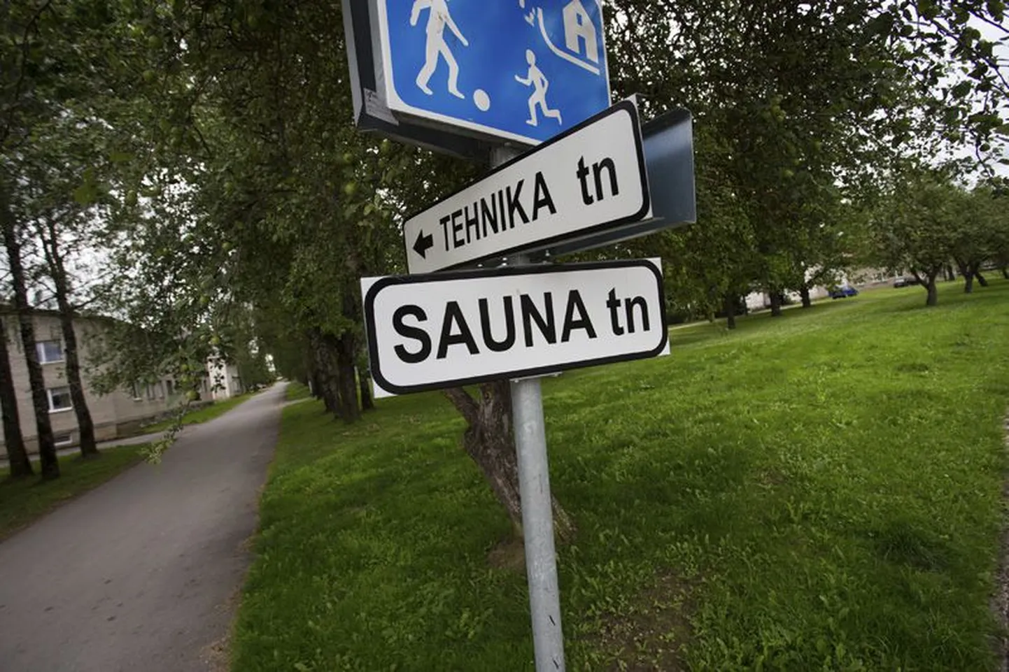 Selle Sauna tänava sildi kinkis vallale Kadrina saunaklubi.