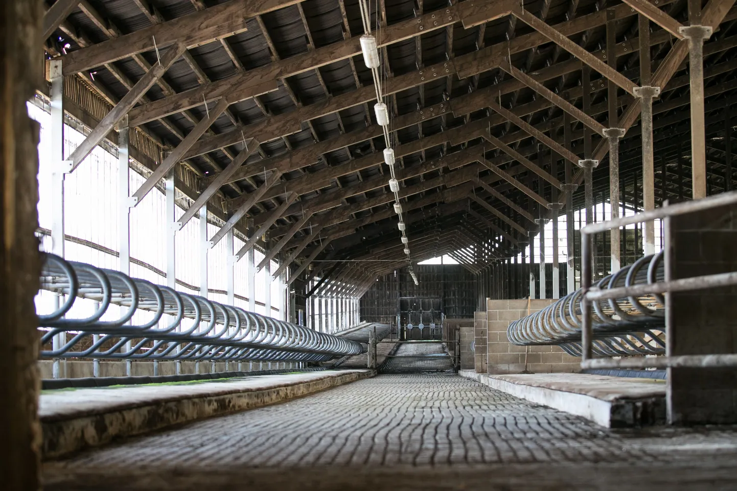 Tühjaksjäänud Müüriku piimafarm. Ministri sõnul ei vasta konkurentsivõime seisukohalt tõele väide, et üks sent väljamaksmata üleminekutoetust piima kilo kohta süvendab eestlaste konkurentsi või nõrgestab konkurentsieeliseid.