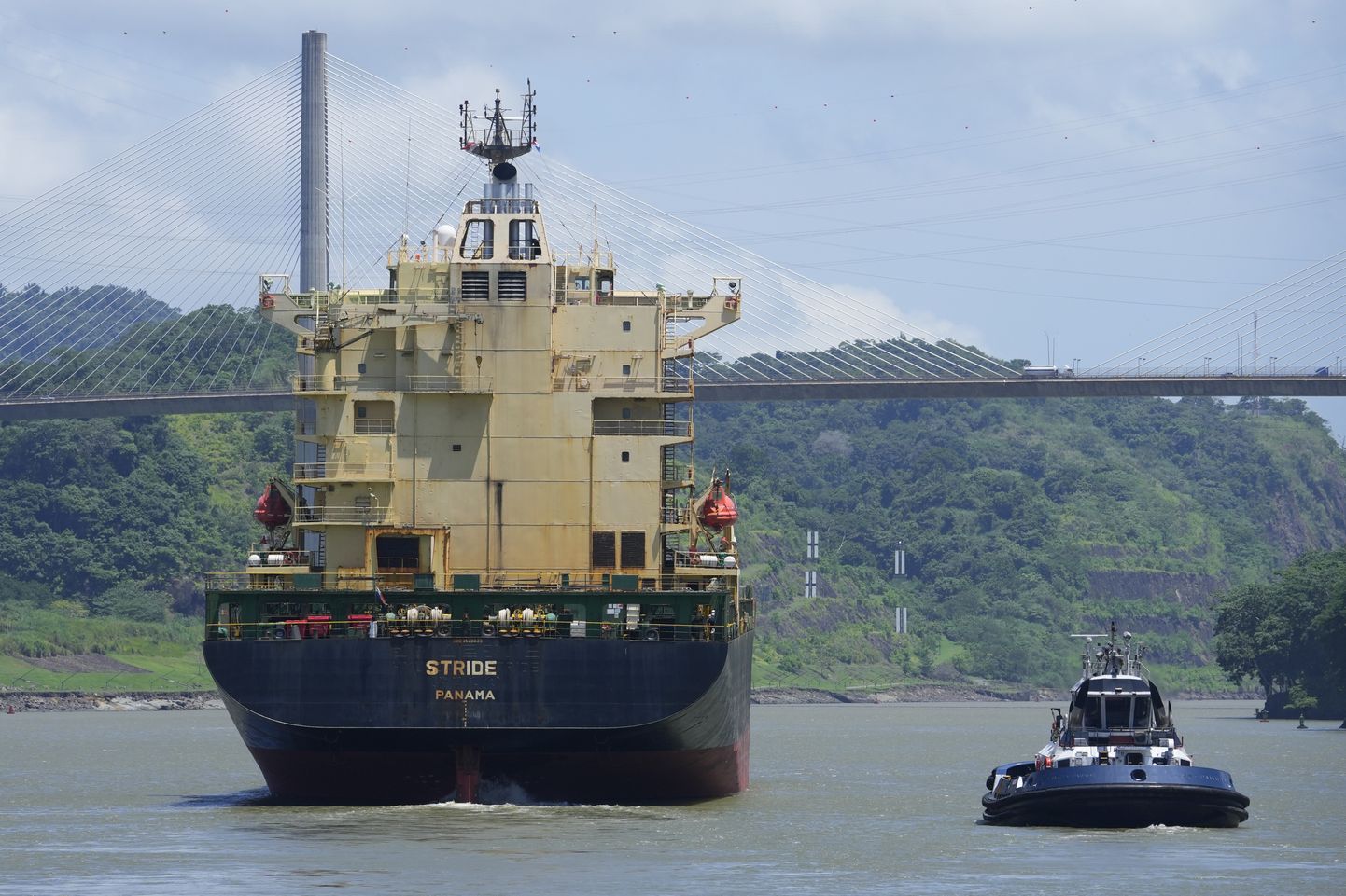 Kaubalaev liigub sel nädalal Pedro Migueli lüüsi lähistel Panama kanalis.