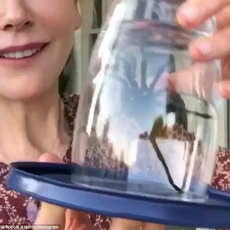 Nicole Kidman kinnipüütud tarantliga