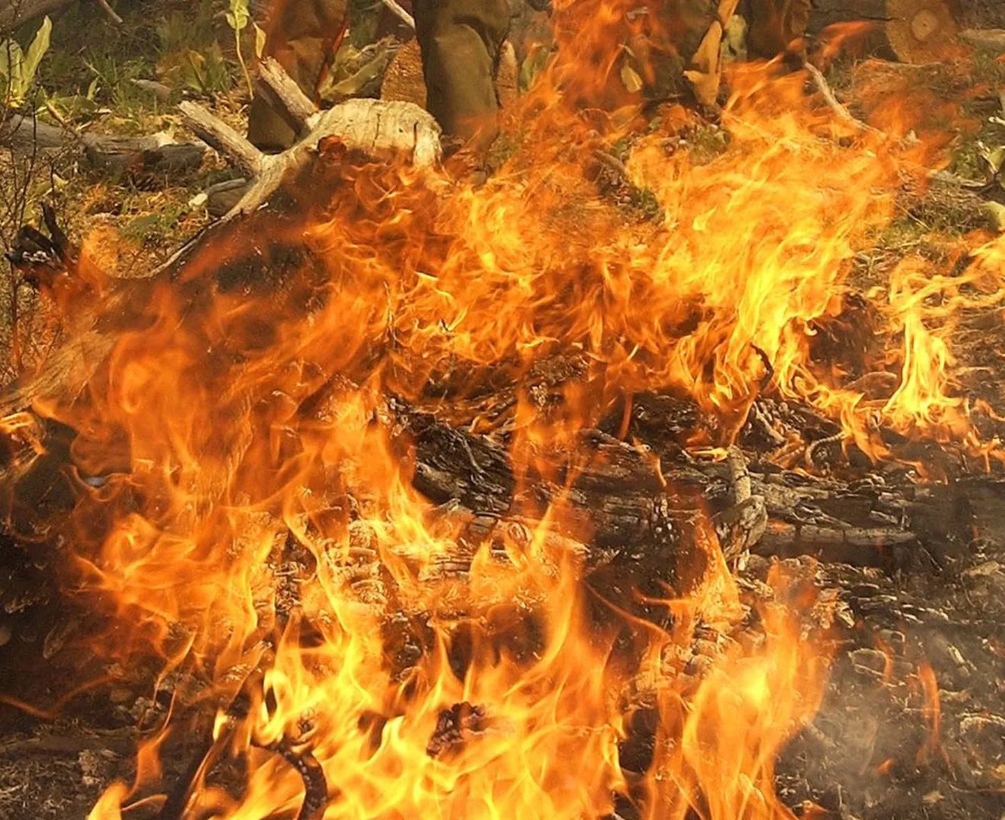 Põleng. Foto ei ole sündmusega seotud.