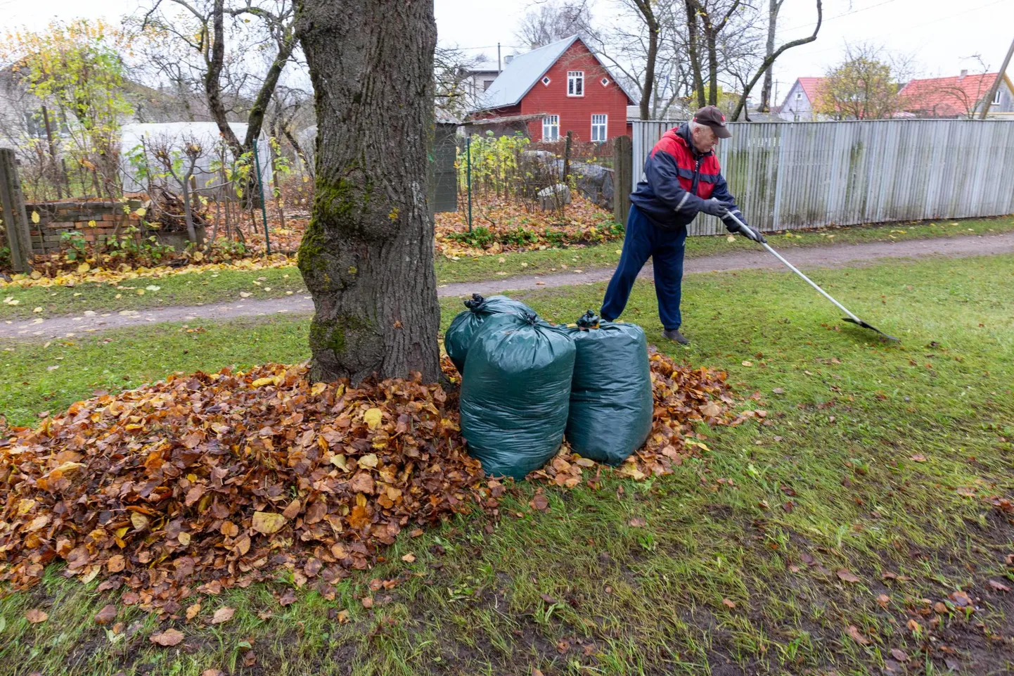 Teiste hulgas leiab Pärnumaal tööd õuekoristaja.