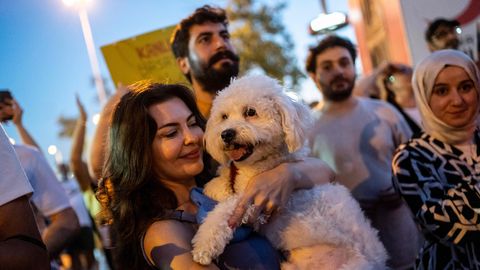 KES LASI KOERAD VÄLJA? ⟩ Erdoğan tahab tänavatel hulkuvad koerad magama panna