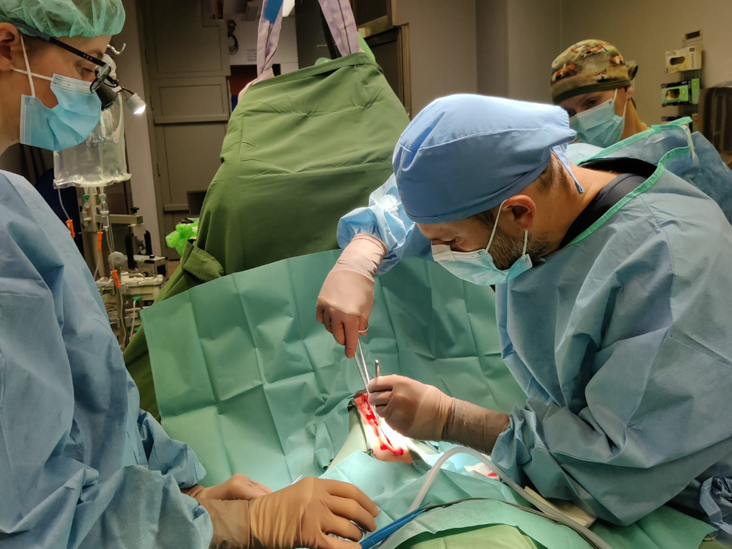 Keerukat operatsiooni juhtis maaülikooli hobusekliiniku peaarst Felipe Corrêa, kaasatud olid loomakliiniku arstid, abilised ja paar kolleegi Soomest.