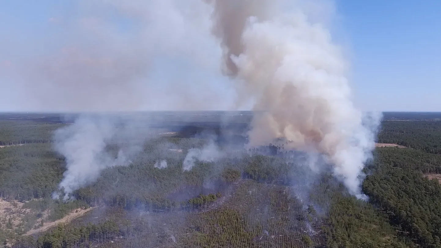 Metsatulekahju Gotlandi saarel