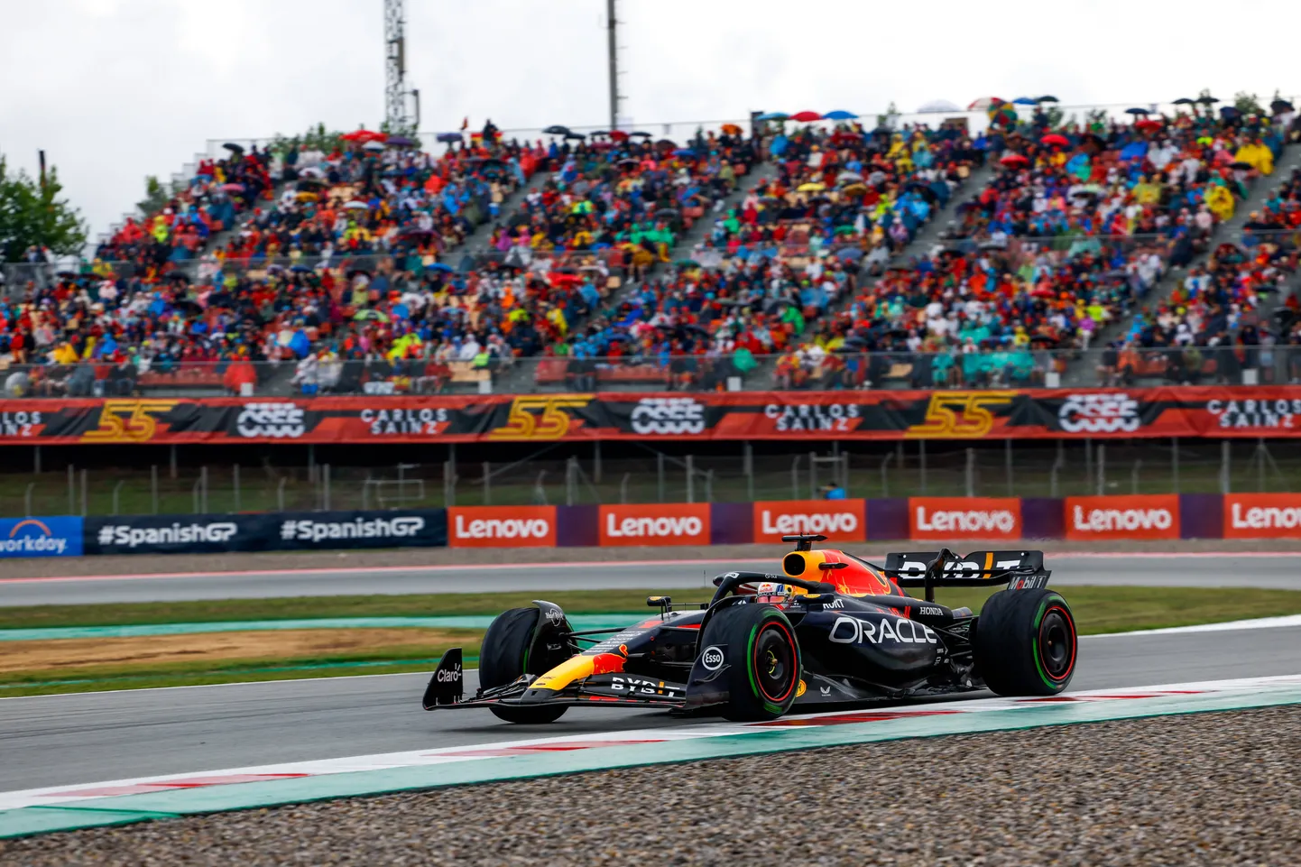 Max Verstappen.