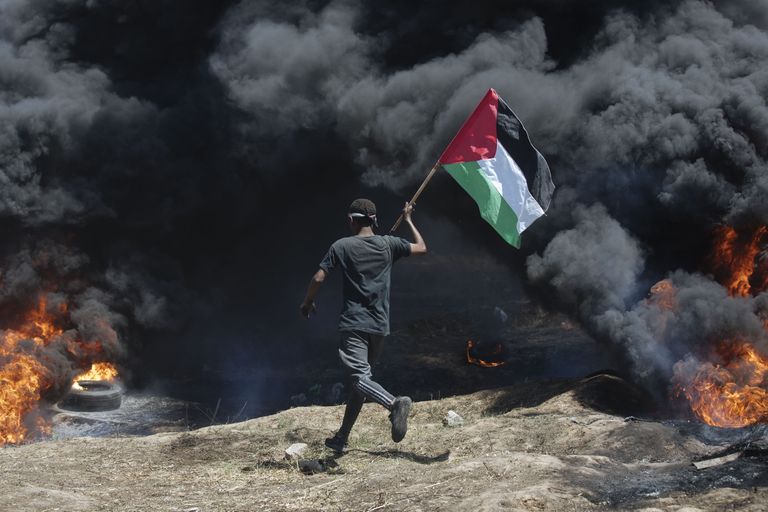 Meeleavaldaja kandmas Palestiina lippu.