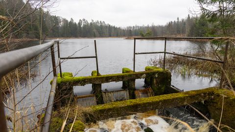 Turva järve lagunev pais pani Mulgi valla tehisjärvede seisu uurima