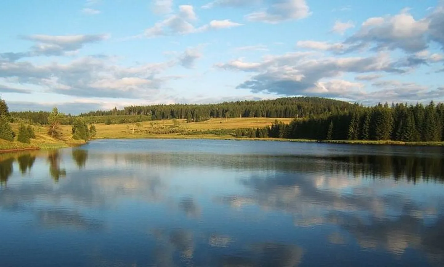 «Metsapoiss» võis matkata Tšehhist Saksamaale. Fotol Ore mäestikuala