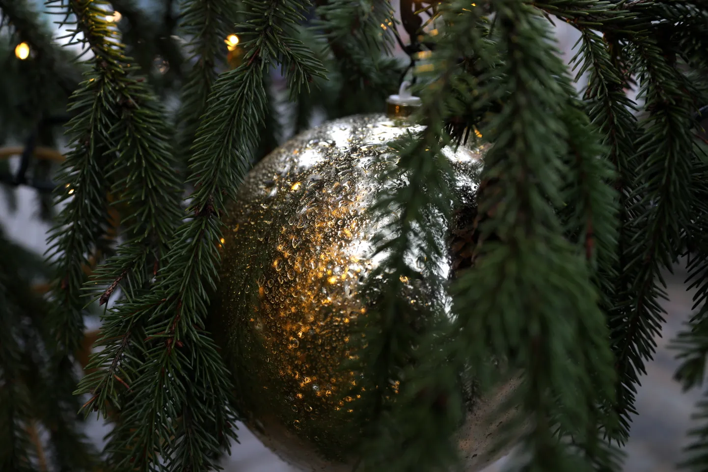 Rotājums Rātslaukuma Ziemassvētku eglē.