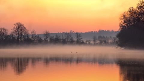 PÄEVAHOROSKOOP ⟩ 10. november: Sõnn satub keerukatesse olukordadesse, Veevalaja armusuhtes tõstab pead vajadus kallimat kontrollida